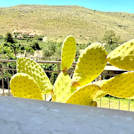 Turi Bed & Breakfast