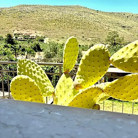 Turi